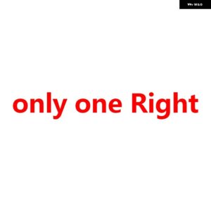 ポルシェ リアライト テールライト リアランプ カイエン 2007 2008 2009 2010 95563148801 95563148800 9 - Right
