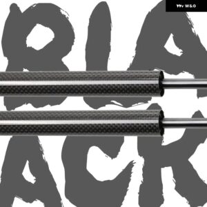 ショック ダンパー シートレオン MK2 1P 2005-2012 フロント ボンネット カー スタイリング フロント ボンネット ガスストラットリフト サポート ガス - Black Carbon Fiber