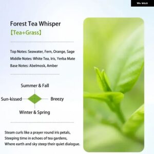 ACURA MDX2022-2025 RDX 2019-2024 ミクロンエアキャビン フィルター FF385 車内フレグランス - Forest Tea Whisper