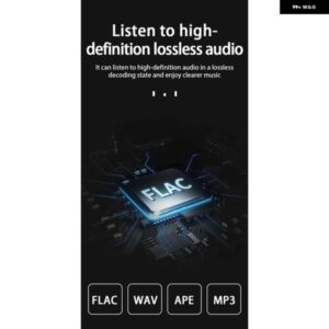 LDZS 12V 車用 BLUETOOTH アンプ HIFI ホーム オーディオ デジタルアンプ カーアンプ オーディオ ホーム カー アダプター 付属 US