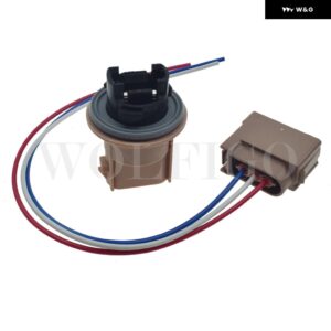 フォード F250 F150 ヘッドランプ ライト ソケット ピグテール ハーネス コネクタ 2U5Z13411SA 999519847 YF1Z13411CA PT5589 - Socket Plug